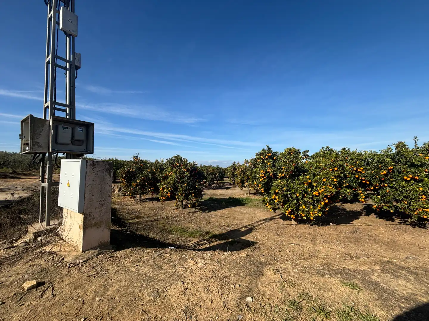 Exterior view of Land for sale in Sanlúcar la Mayor