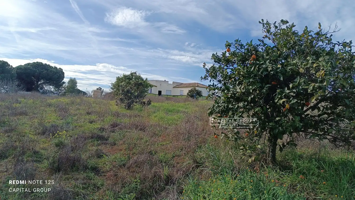 Terrenos y solares en venta en Gibraleón, imagen 35