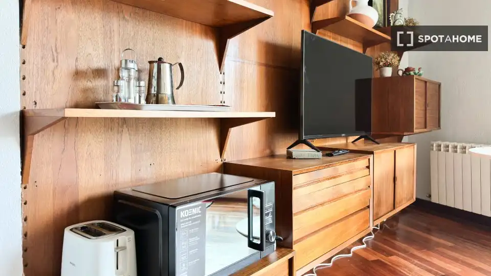 Sala de estar de Estudio para compartir en Madrid con Aire acondicionado, Calefacción y Terraza