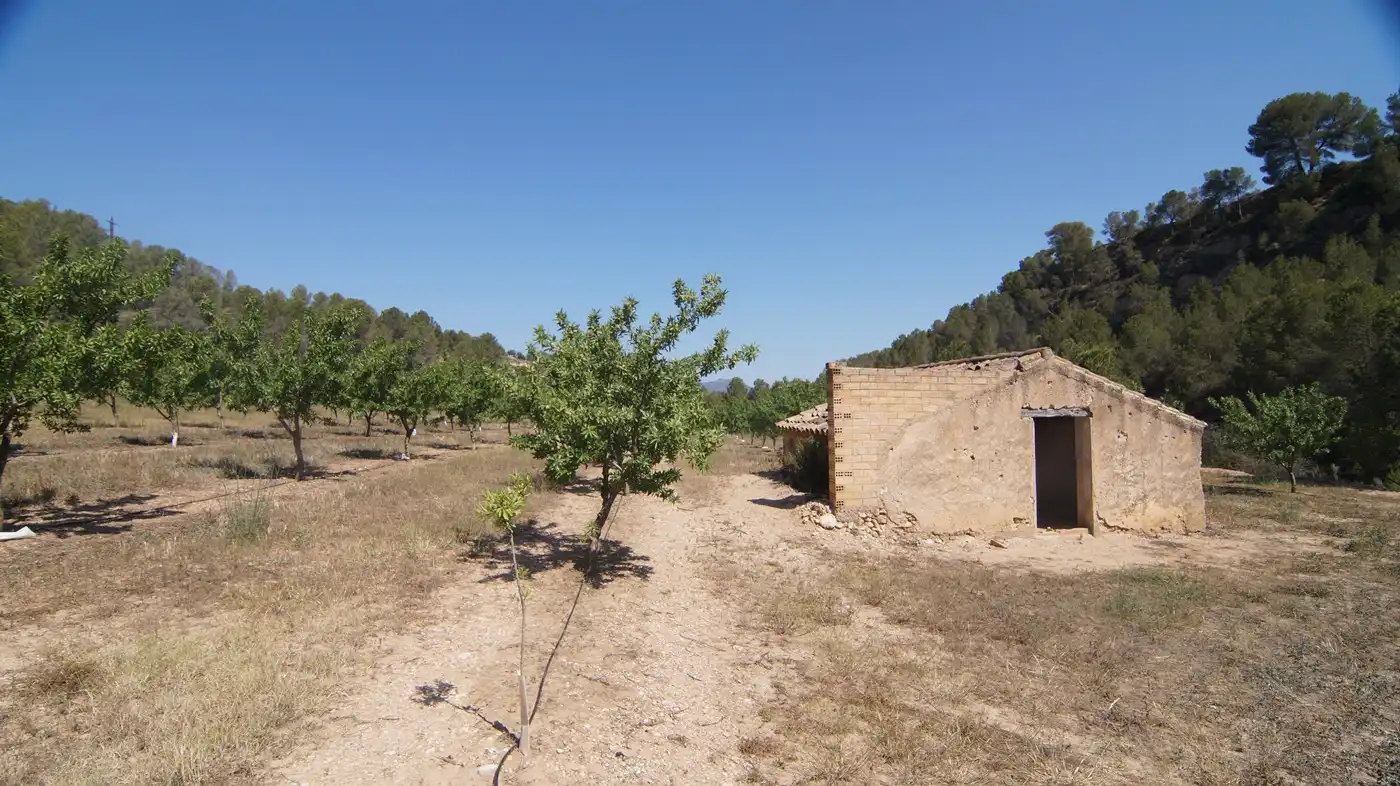 Terrain rustique à vendre à Ginestar, imagen 5