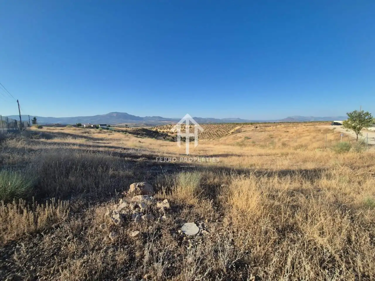Rural land for sale in Moraleda de Zafayona, imagen 8