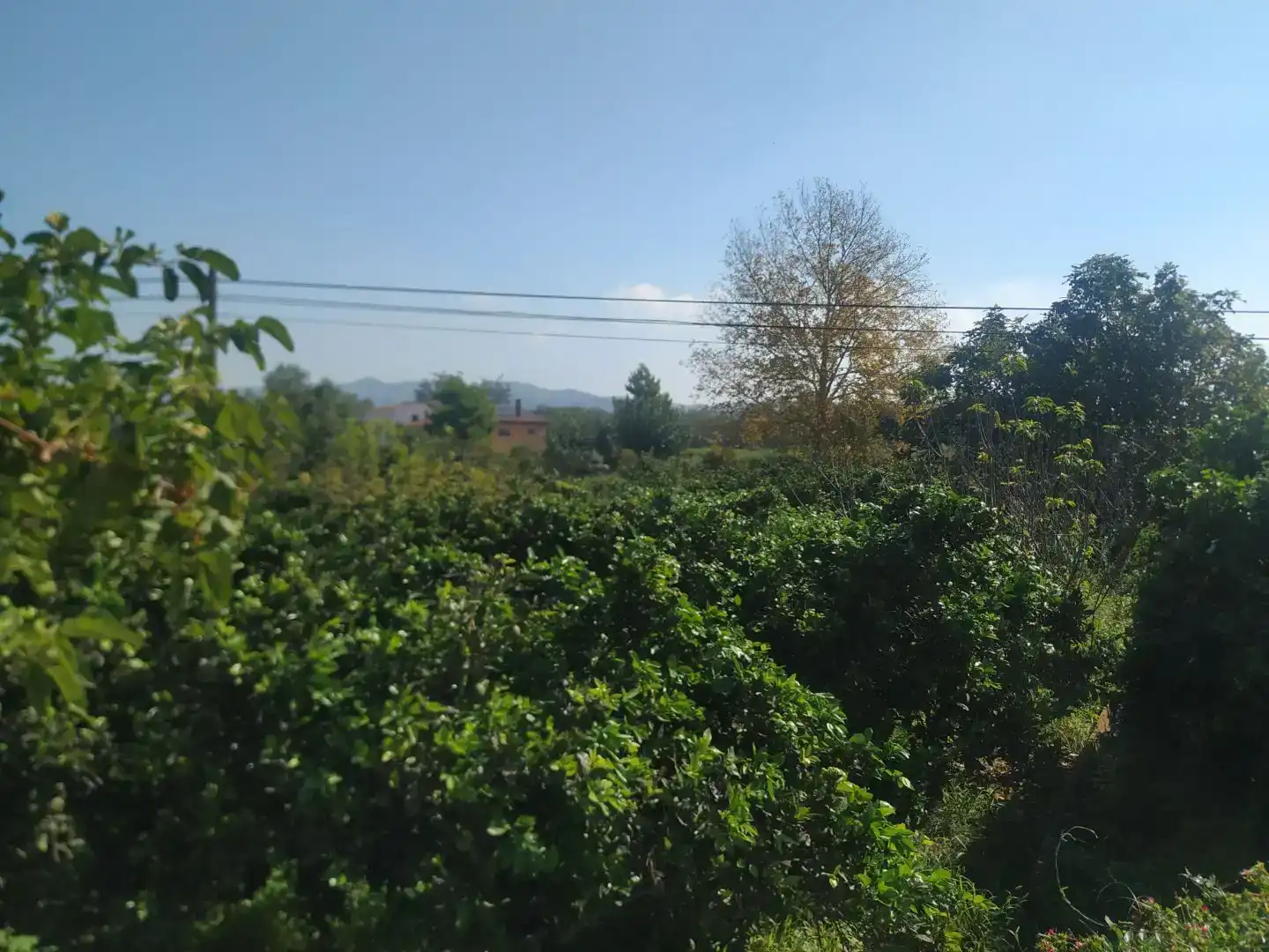 Finca rústica en venda en Tortosa