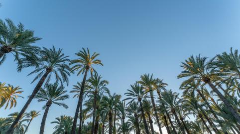 Foto 2 de Casa o xalet en venda a Centro, Alicante