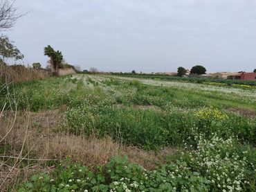 Rustikales Grundstück zum Verkauf in Dolores