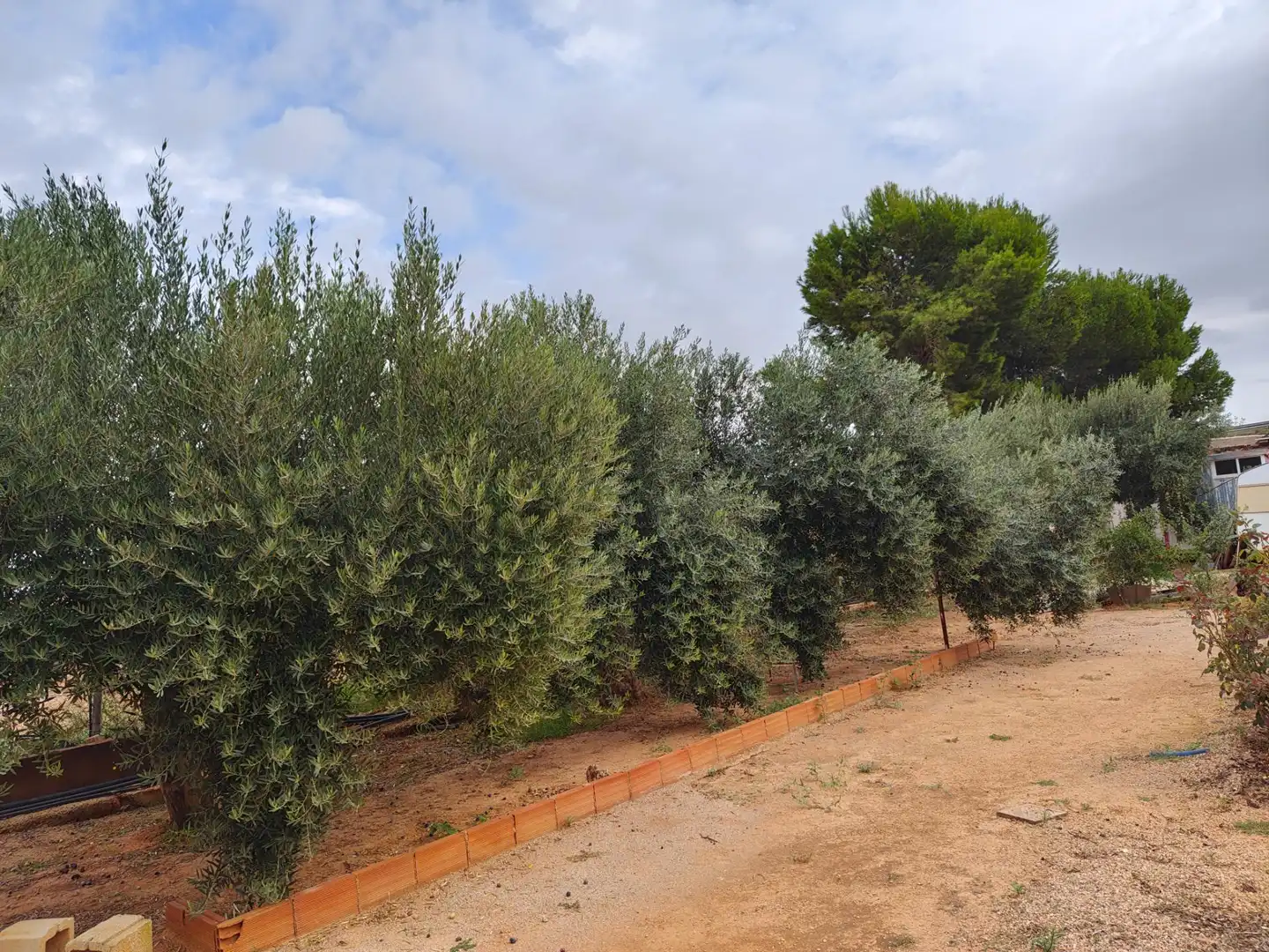 Terreno residencial en venta en Pedanías Oeste, imagen 4