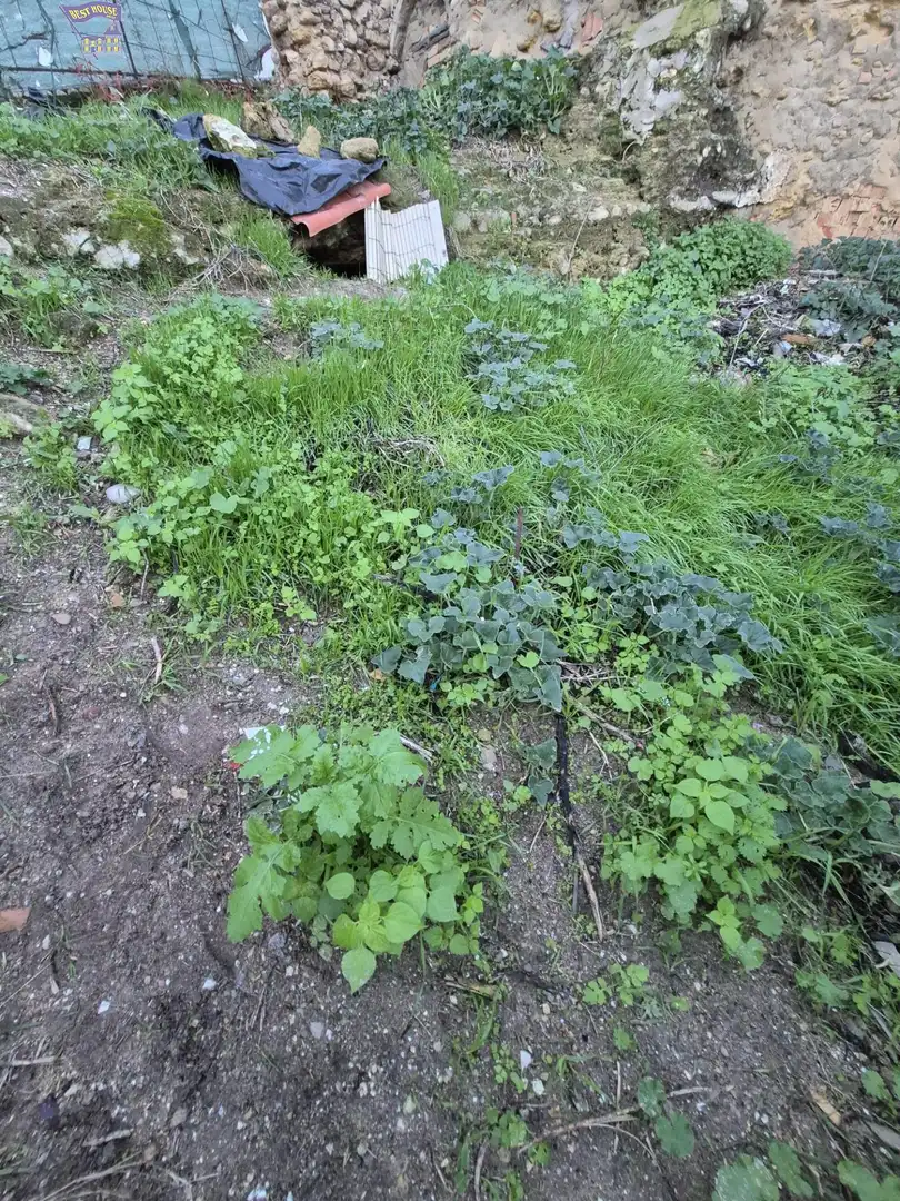 SE VENDE SOLAR EN ZONA DEL CASCO ANTIGUO, imatge 3