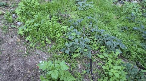 Foto 3 de Residencial en venda a Arcos de la Frontera, Cádiz