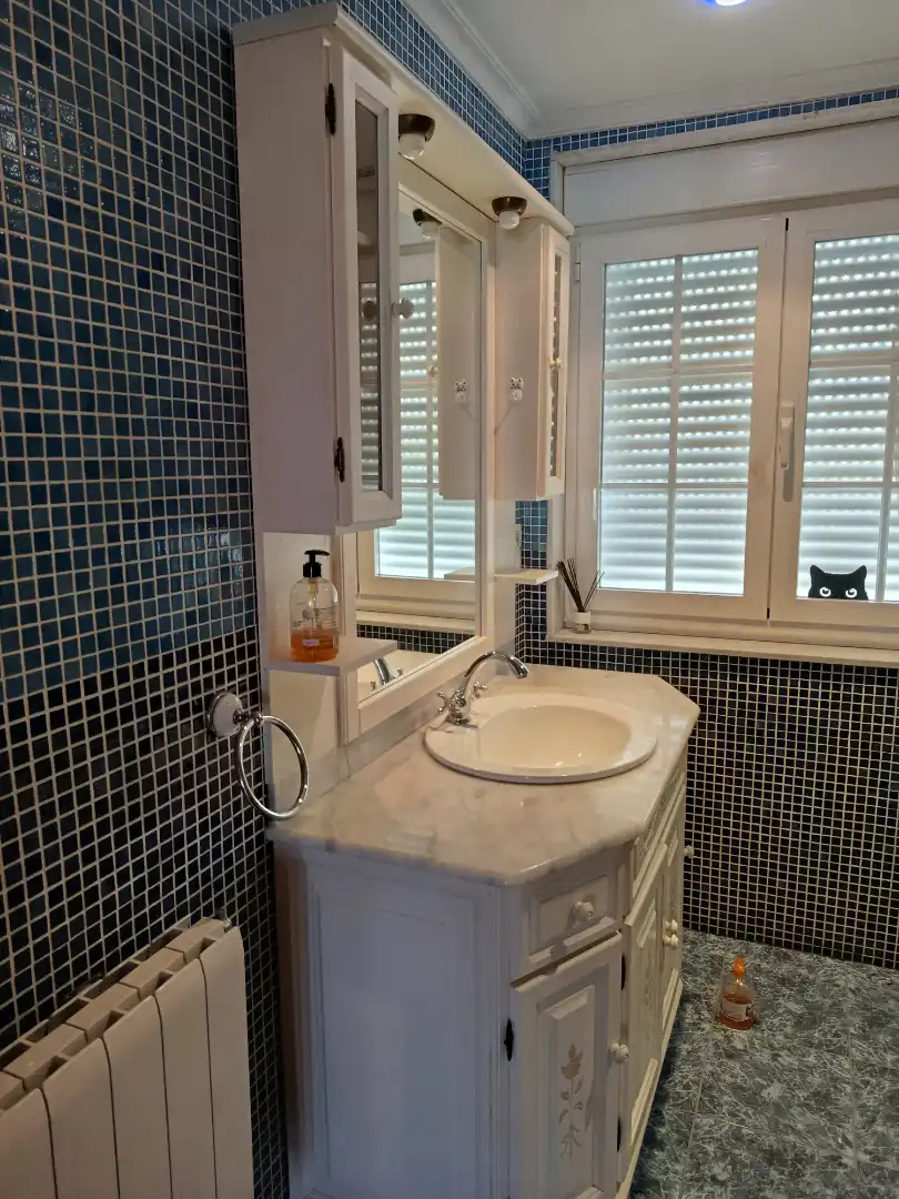 Bany de Casa o xalet en venda en Vegadeo amb Calefacció, Jardí privat i Parquet