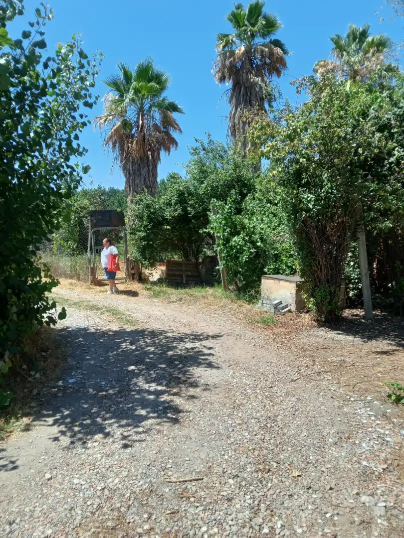 Terrains et parcelles à vendre à Fuente Vaqueros