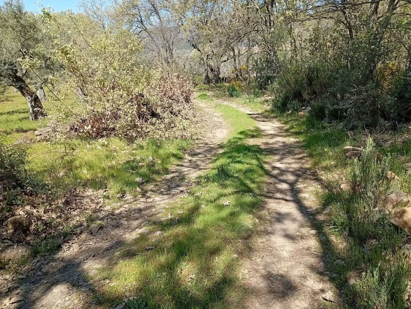 Terreni e lotti in vendita a Valverde de la Vera, imagen 72