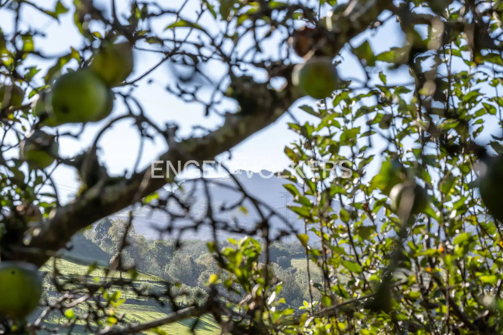 Vista exterior de Finca rústica en venta en Urnieta con Calefacción, Jardín privado y Terraza