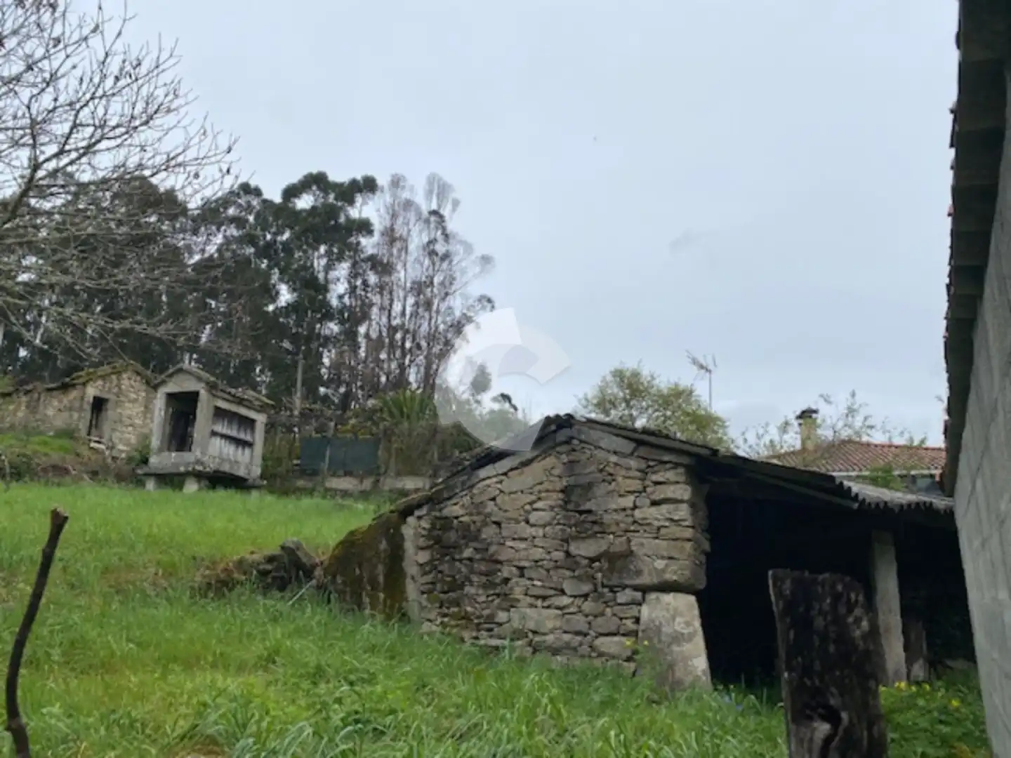Adossat amb jardí en venda a Entrimo, imagen 12