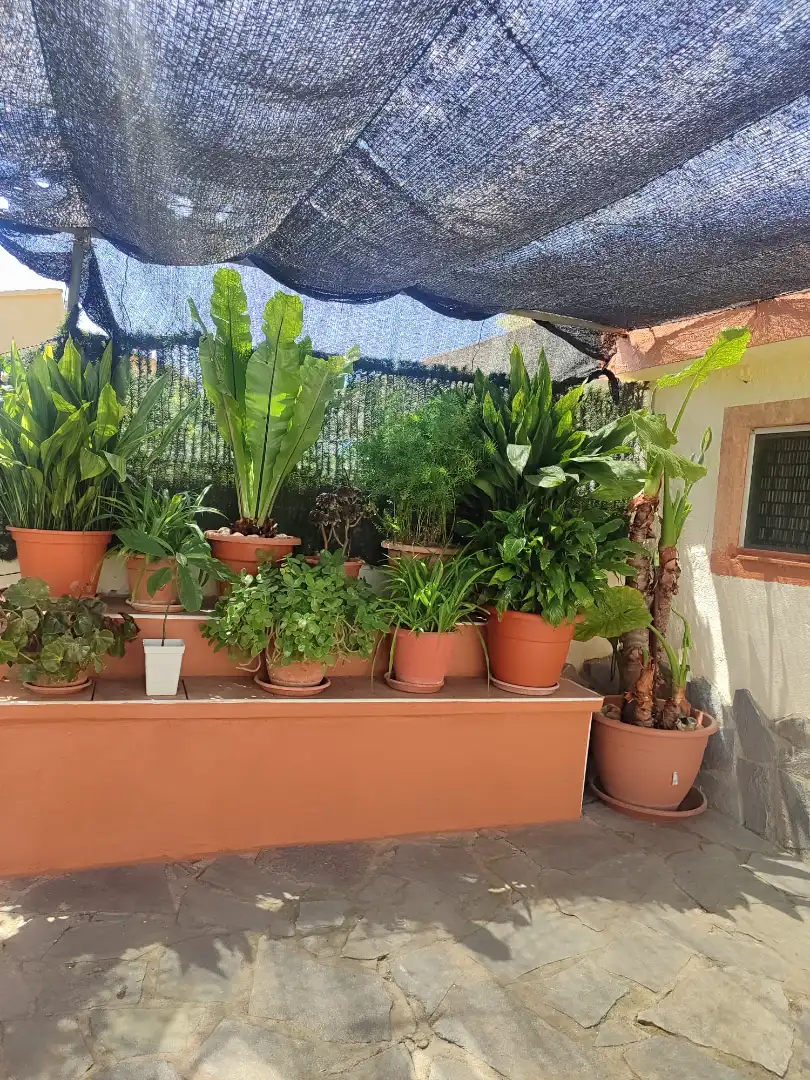 Terrassa de Casa o xalet en venda en Tarragona amb Aire condicionat, Jardí privat i Terrassa