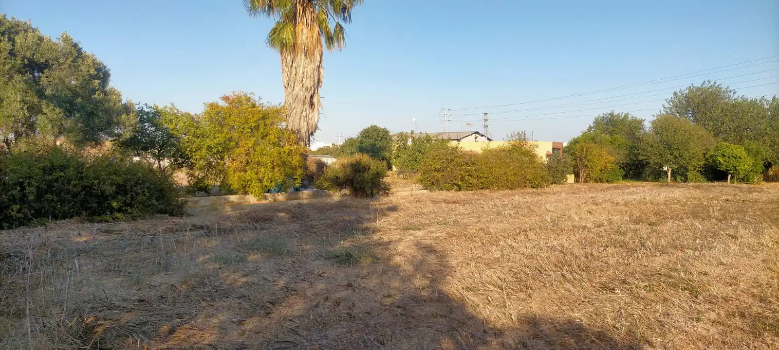 Rural land for sale in El Juncal - Vallealto, imagen 13