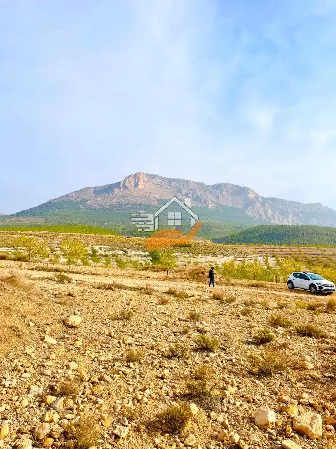 Residential land for sale in Vélez-Rubio