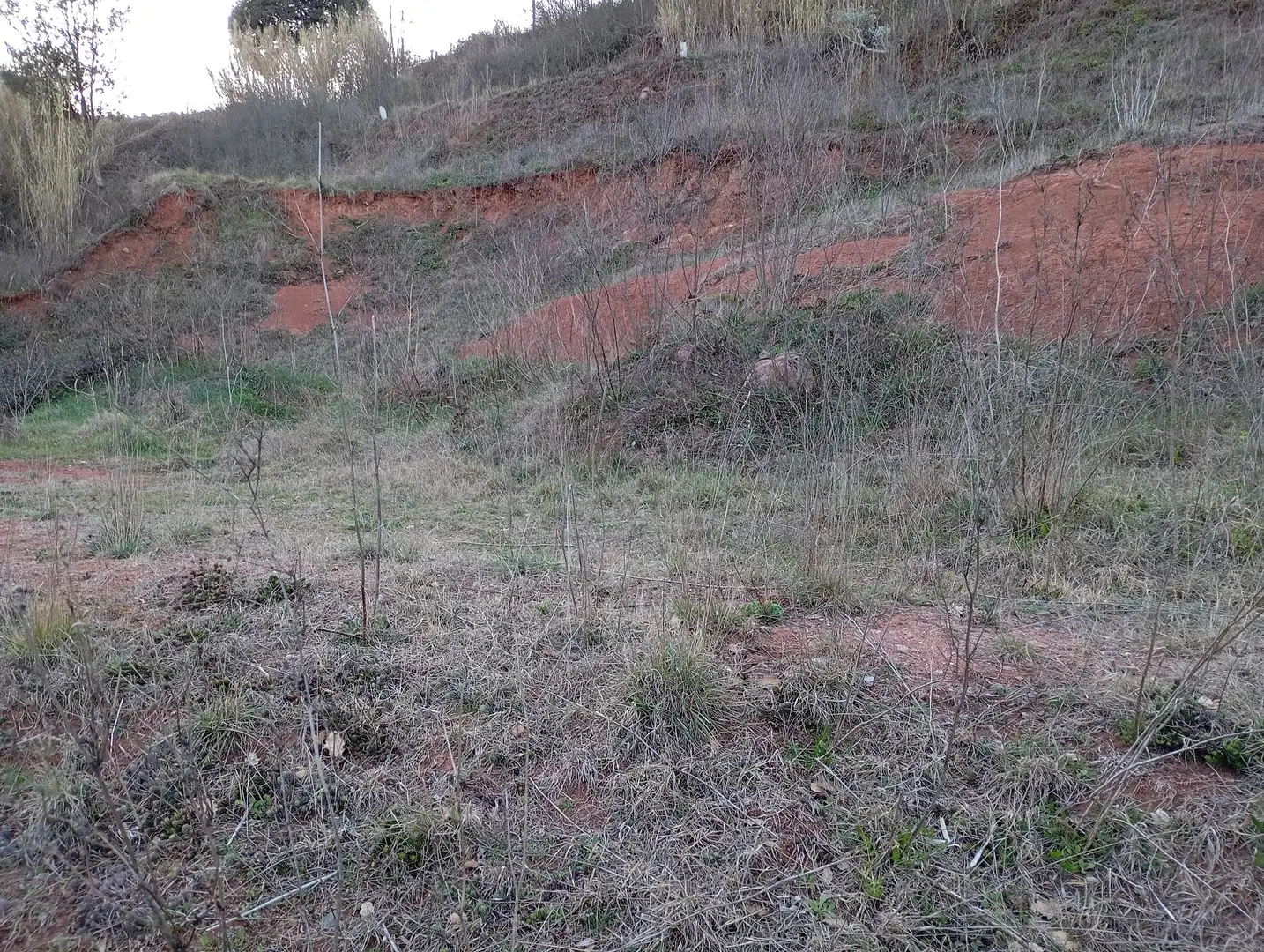 Wohnbaugrundstück zum Verkauf in Vilanova de Sau, imagen 8