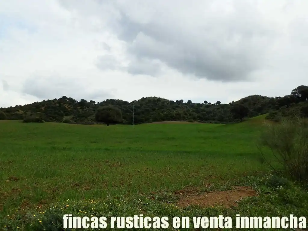 Terreno rustico in vendita a Algodonales, imagen 21