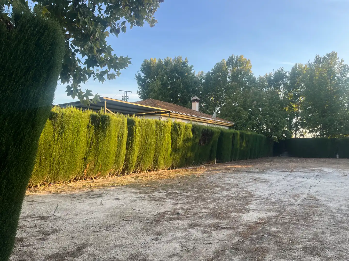 Industrial building for sale in Carretera de Córdoba, imagen 87