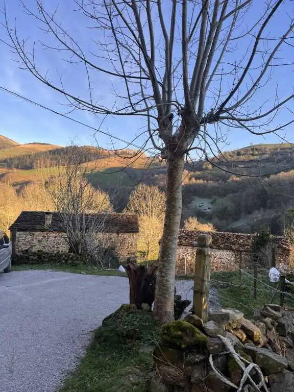 Vista exterior de Casa o xalet en venda en Selaya amb Jardí privat i Balcó