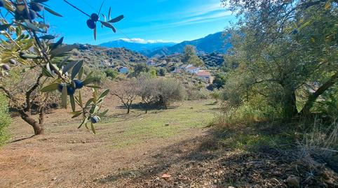 Foto 4 de Casa o chalet en venta en Calle Camino de Solano, Colmenar, Málaga