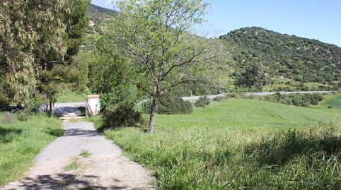 Finca Rúst. en venta en Algodonales, 4 dormitorios., imatge 2