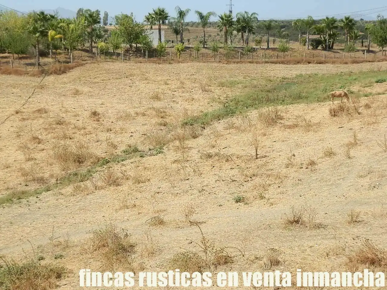 Terreni e lotti in vendita a Pizarra, imagen 27