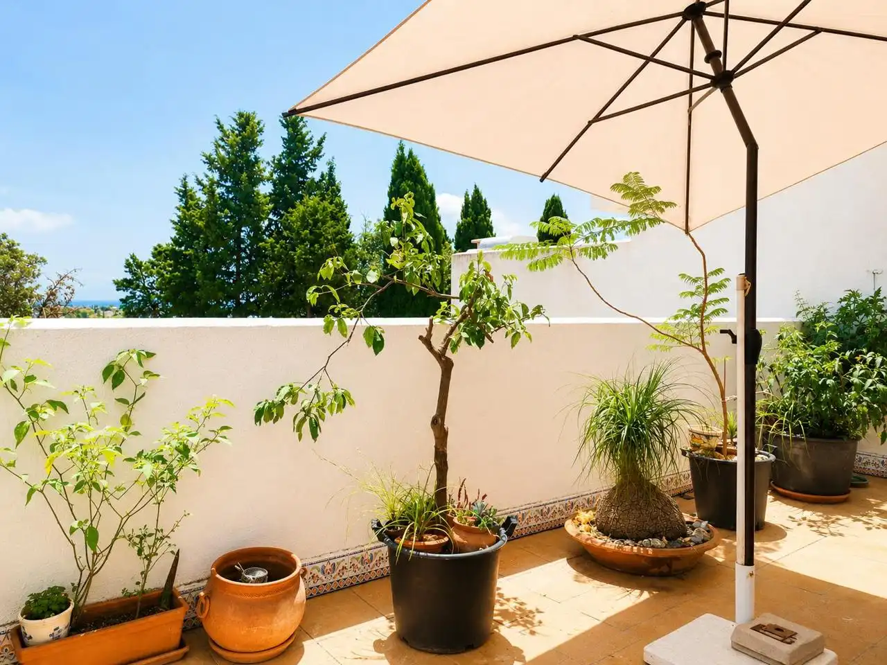 House with pool for sale in De Francia, imagen 3