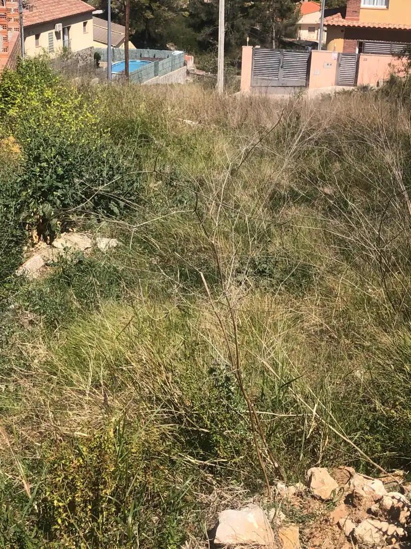 Residential land for sale in Canyelles, imagen 2