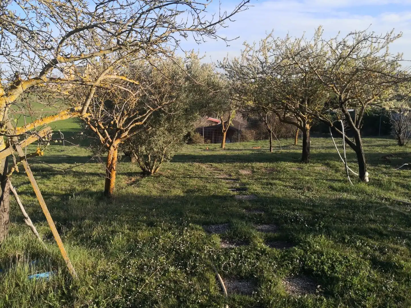 Finca rústica en venda en Modúbar de la Emparedada amb Jardí privat i Terrassa