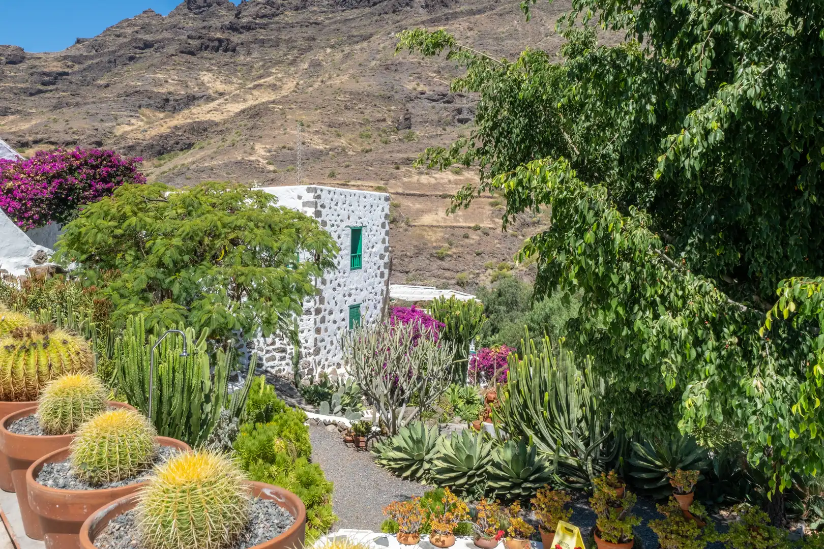 House with terrace for sale in Los Pasitos 2, imagen 74