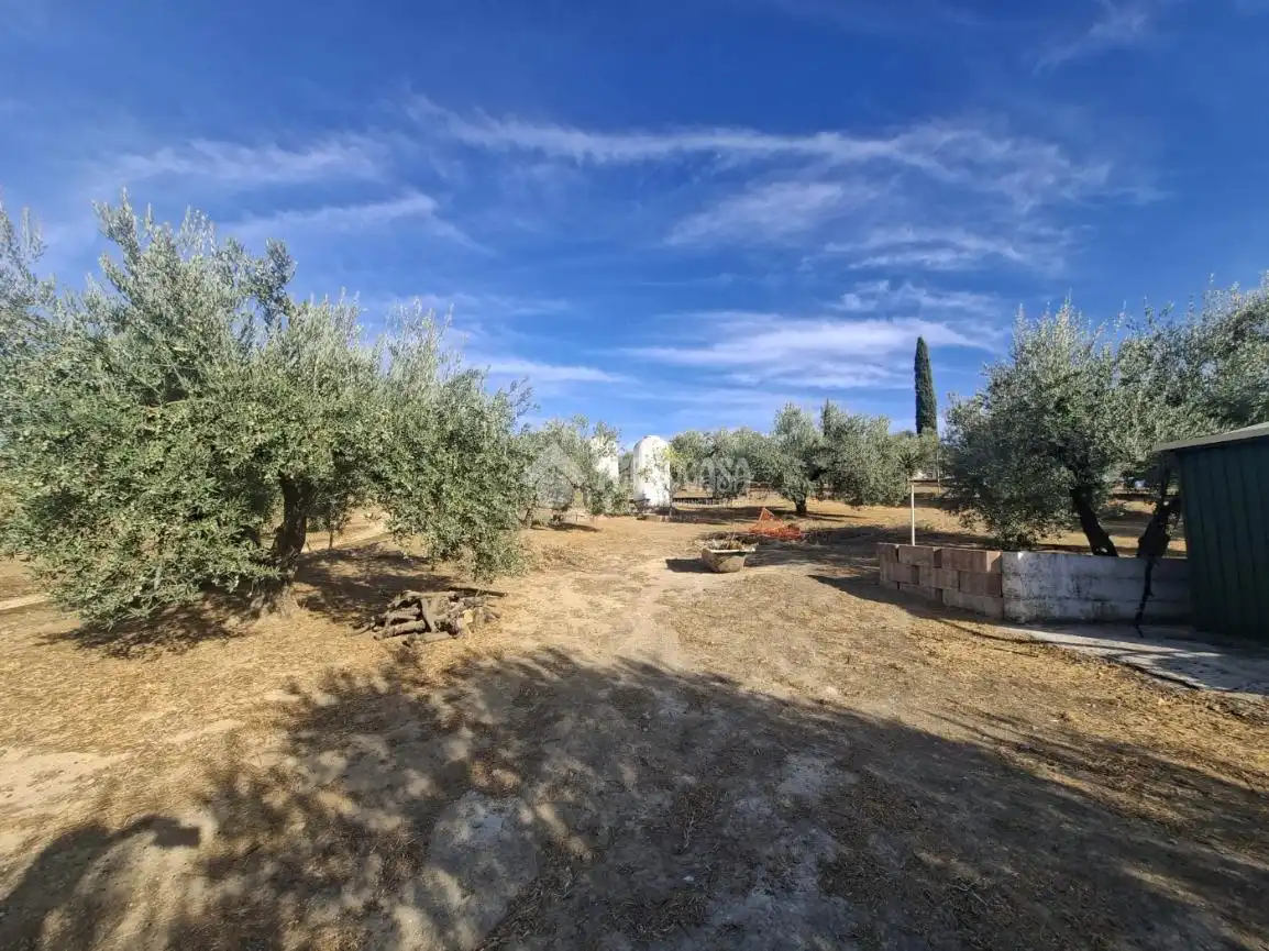 Terreny en venda en Montilla, Córdoba