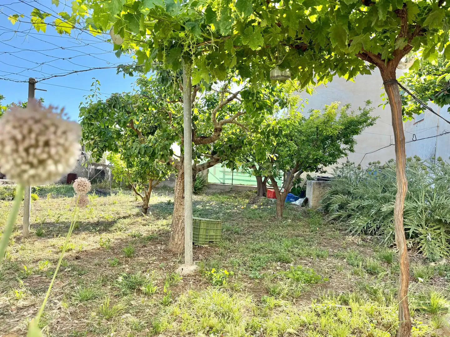 Casa amb jardí en venda a Berja, imagen 34