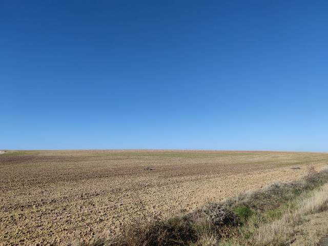 Finca rústica en Venta en Peñaranda de Bracamonte