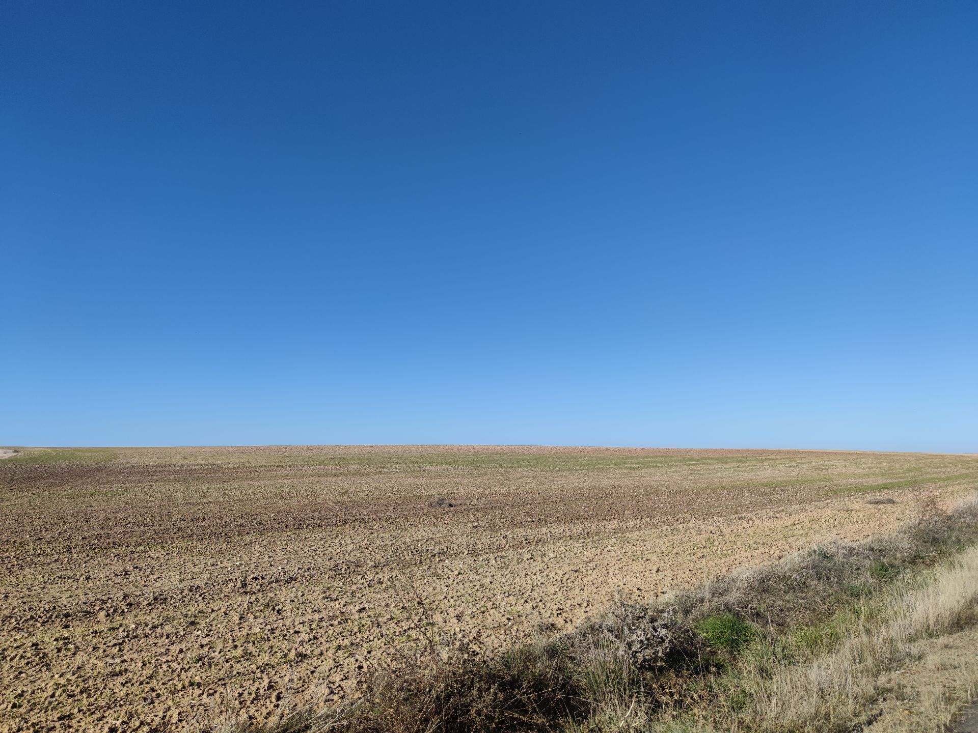 Country house for sale in Peñaranda de Bracamonte