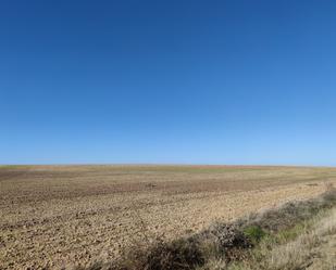 Country house zum verkauf in Peñaranda de Bracamonte