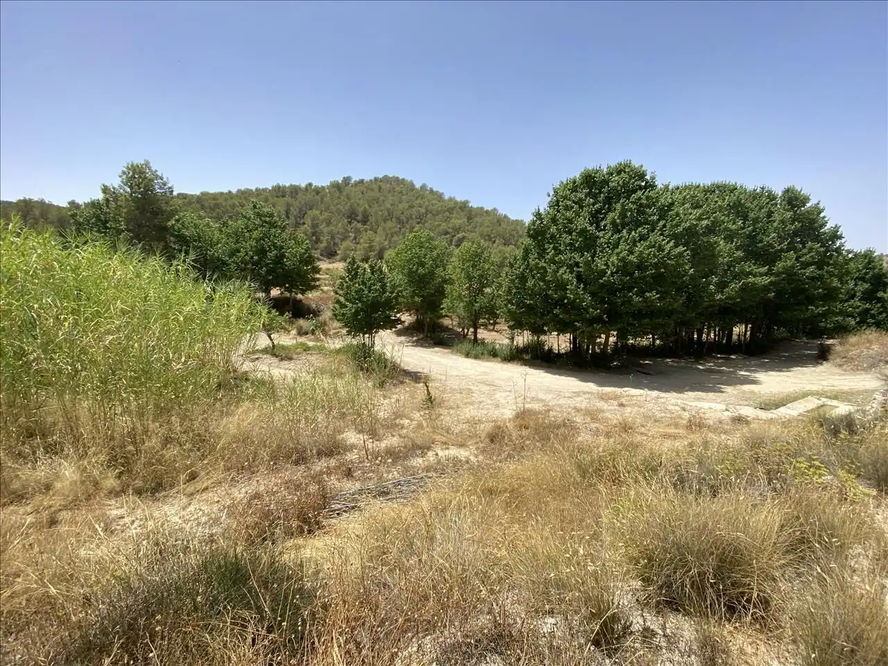 Land for sale in Jumilla