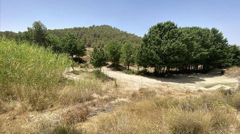 Photo 2 of Land for sale in Peralejo Jumilla, Sn, Jumilla, Murcia