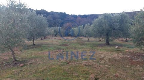 Imagen 4 del anuncio