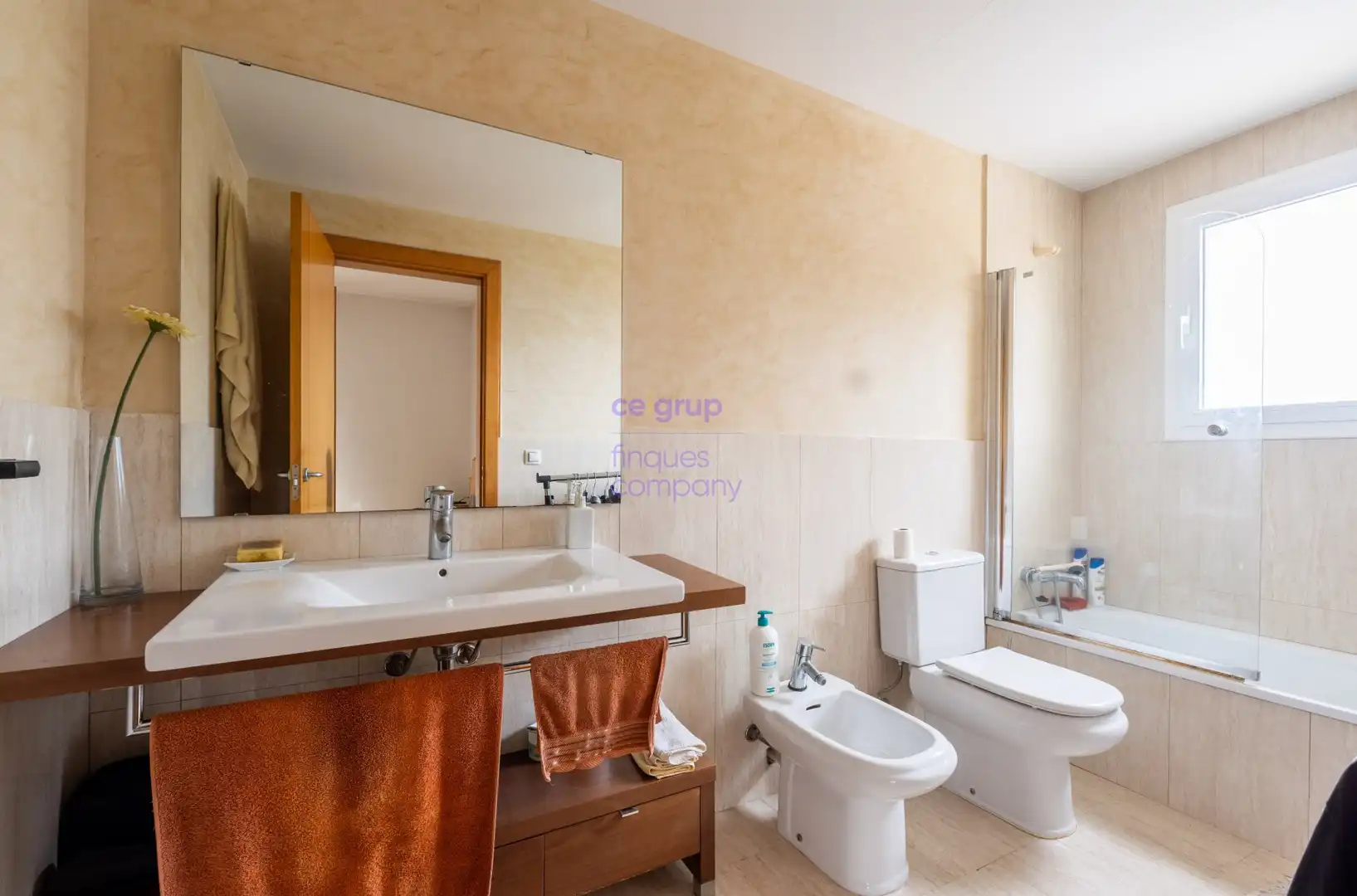 Casa o chalet en venta en Aiguaviva