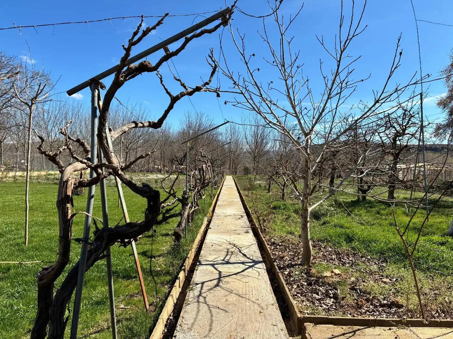 Casa o xalet en venda en Teruel amb Jardí privat i Piscina