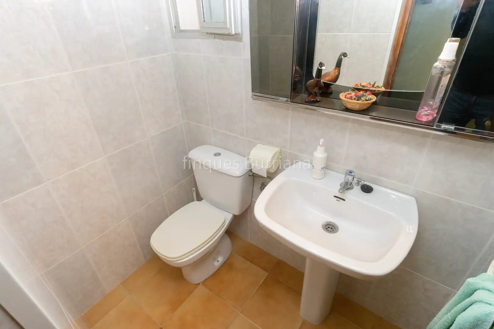 Baño de Casa o chalet en venta en Sueras / Suera