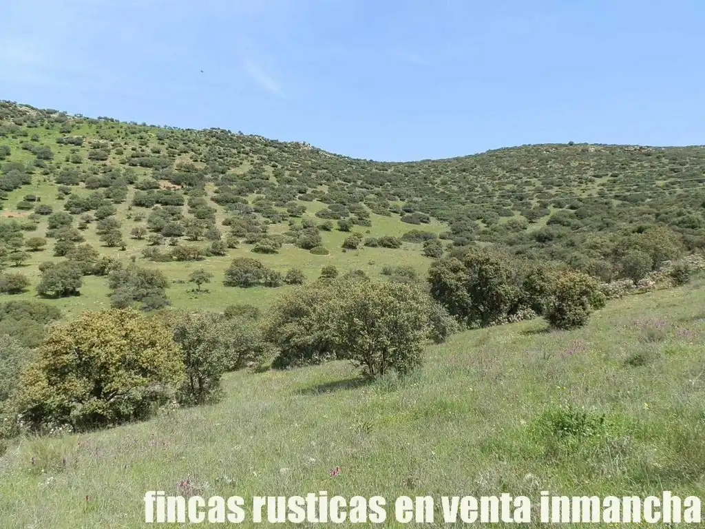 Rural land for sale in Calzada de Calatrava, imagen 18