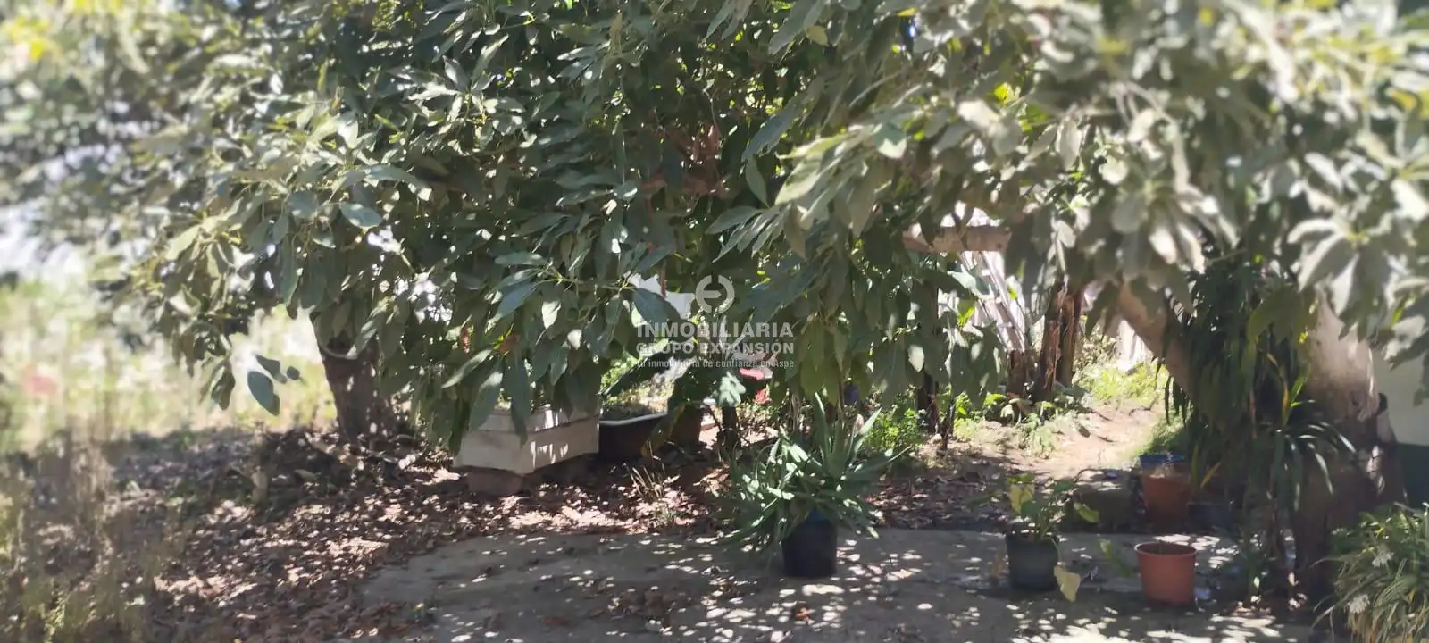 Casa o xalet en venda en La Orotava amb Terrassa i Traster