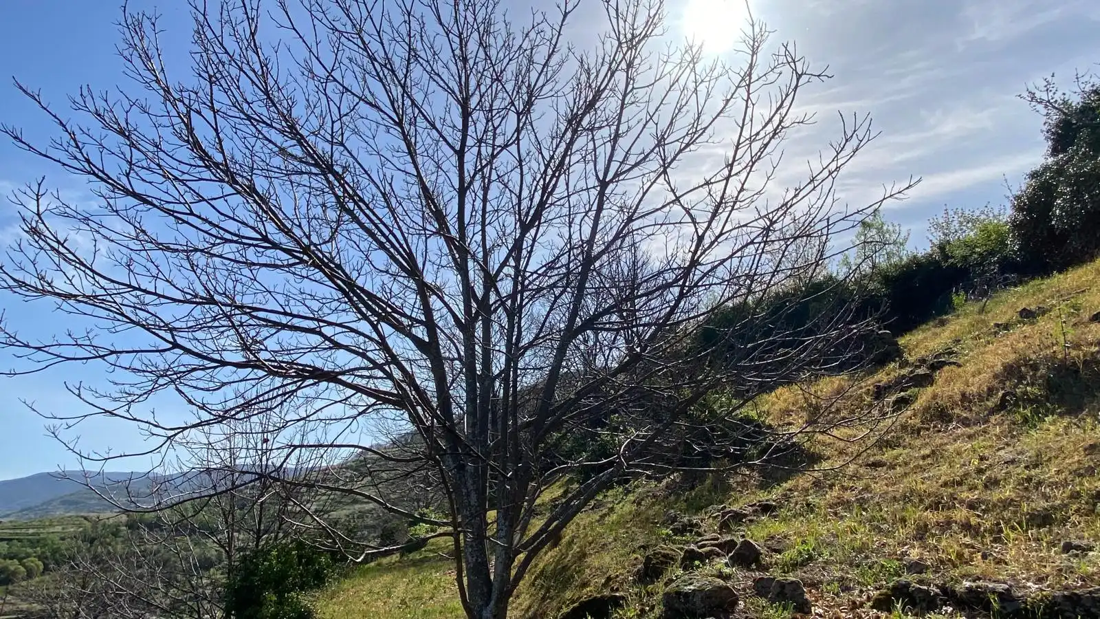 Terreni e lotti in vendita a Casas del Castañar, imagen 15