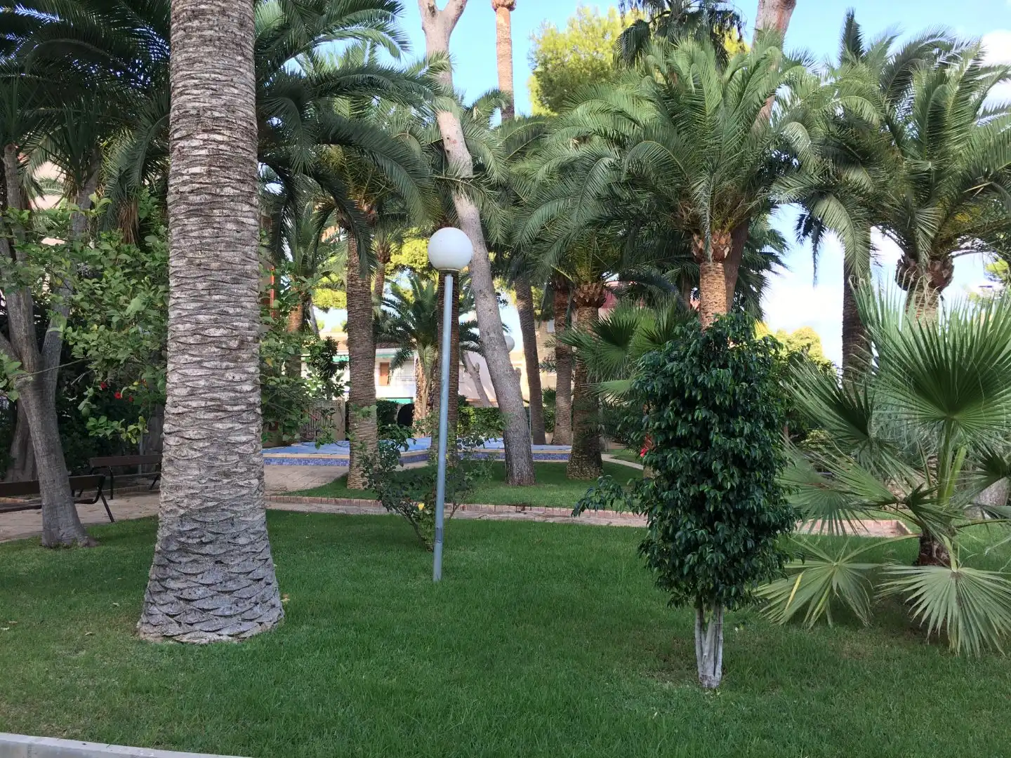Garten von Wohnungen zur Miete in Santiago de la Ribera