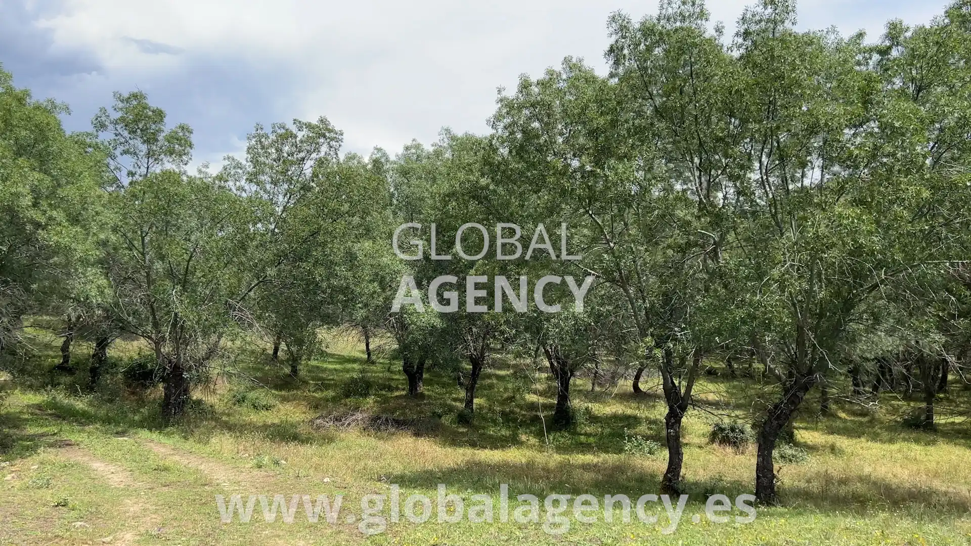 Rural land for sale in Soto del Real, imagen 7