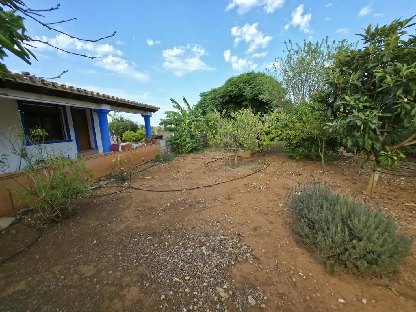 Villa con giardino in vendita a La Pedrera - Vessanes