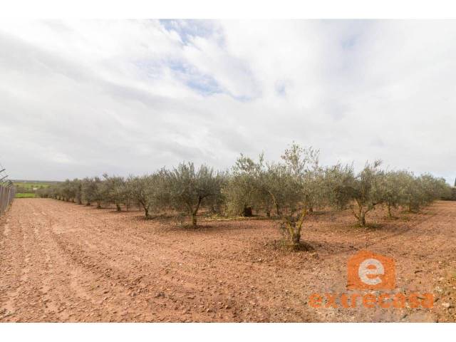 Terreno residencial en Venta en Ciudad Jardín