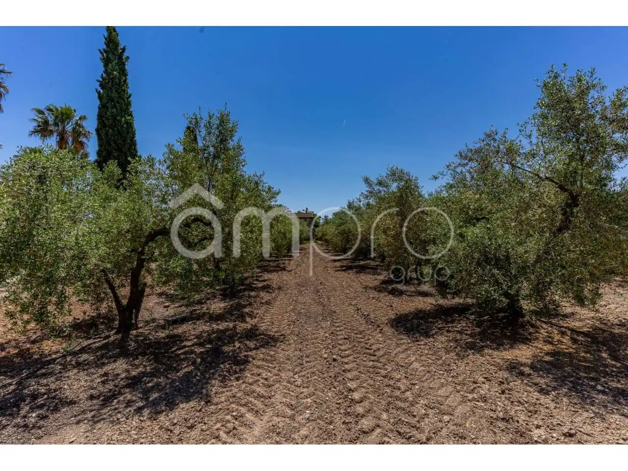 Finca rústica en venta en Vilallonga del Camp con Calefacción, Jardín privado y Terraza