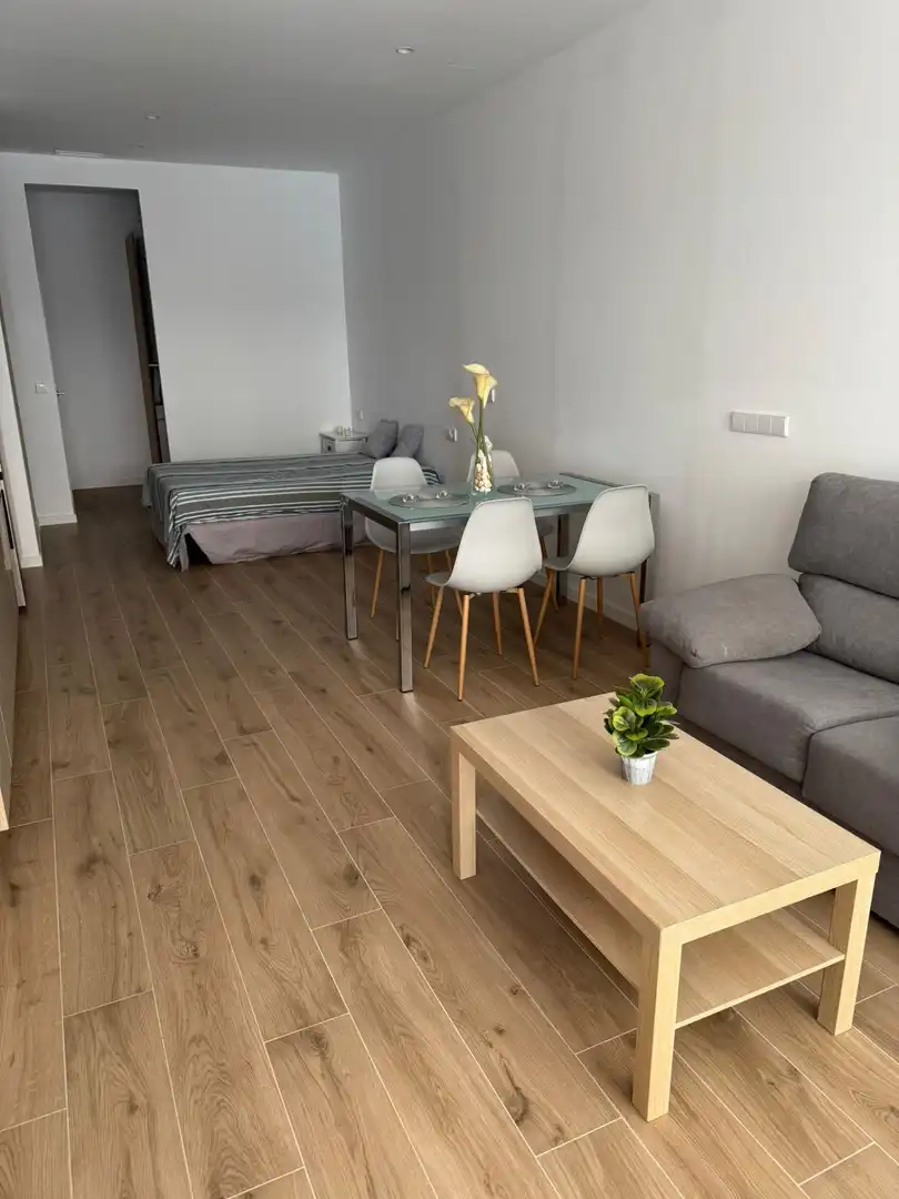 Sala de estar de Loft de alquiler en Elche / Elx